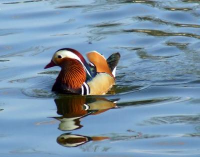 Прикрепленное изображение: 003.jpg